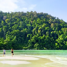 Monkey Beach