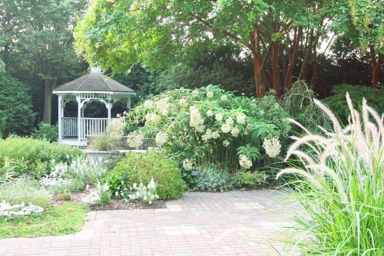 ローリー Jcロールストン植物園 ノースカロライナ州立大学 評判 案内 トリップドットコム ローリー Jcロールストン植物園 ノースカロライナ州立大学 評判 案内 トリップドットコム