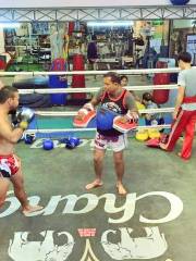 Thai Boxing Guardian