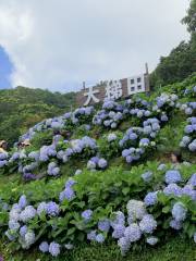 Grand Terrace Flower Ecological Farm