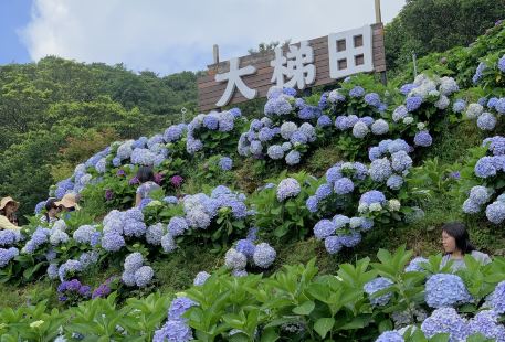 大梯田花卉生態農園