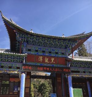 리장,trippal