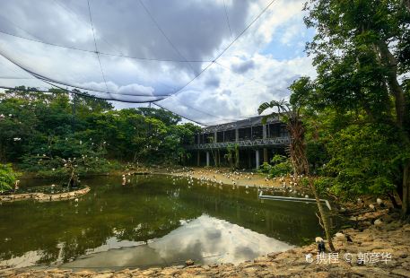 오키나와 네오파크동물원