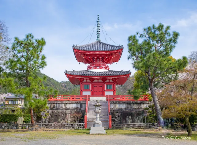 Daikaku-ji Temple1