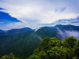 鎮山國家森林公園