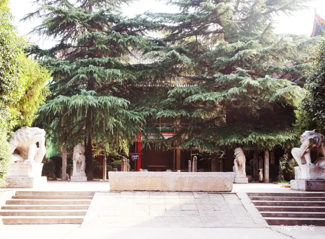 臨潼博物館2