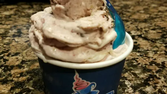 The Ice Cream Show