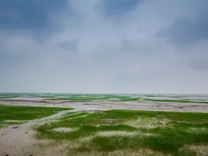 杭州灣國家濕地公園