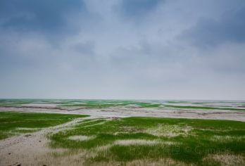 항저우 만 국립습지공원 명소 인기 사진