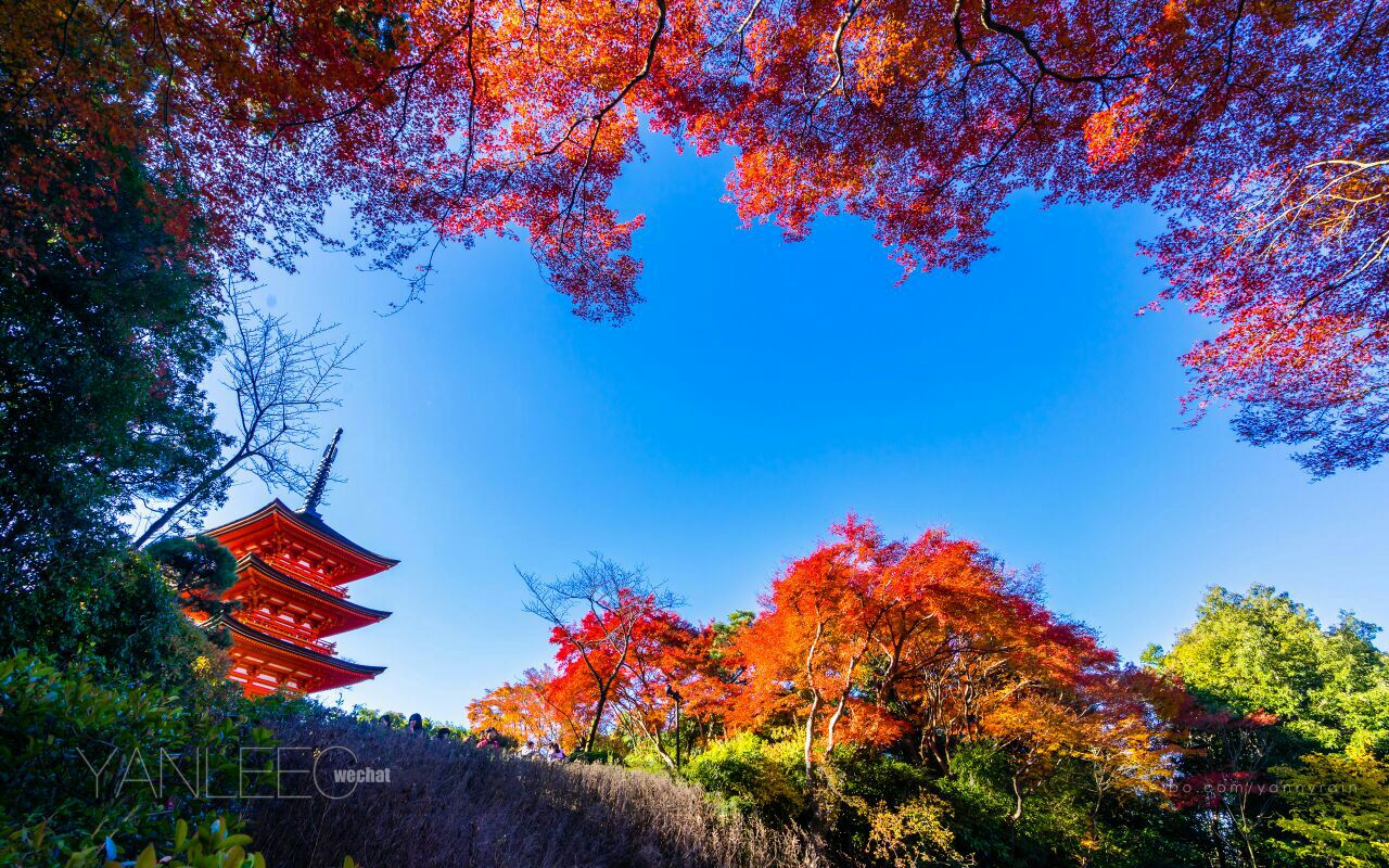 Top Travel Destinations in Kyoto: Best 7 Days Kyoto Itinerary