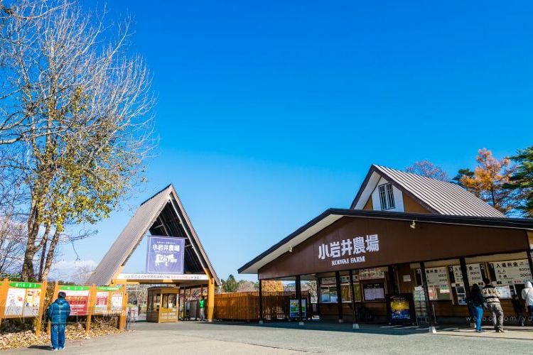 雫石 小岩井農場まきば園 評判 案内 トリップドットコム 雫石 小岩井農場まきば園 評判 案内 トリップドットコム