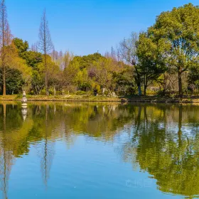 Three Pools Mirroring the Moon