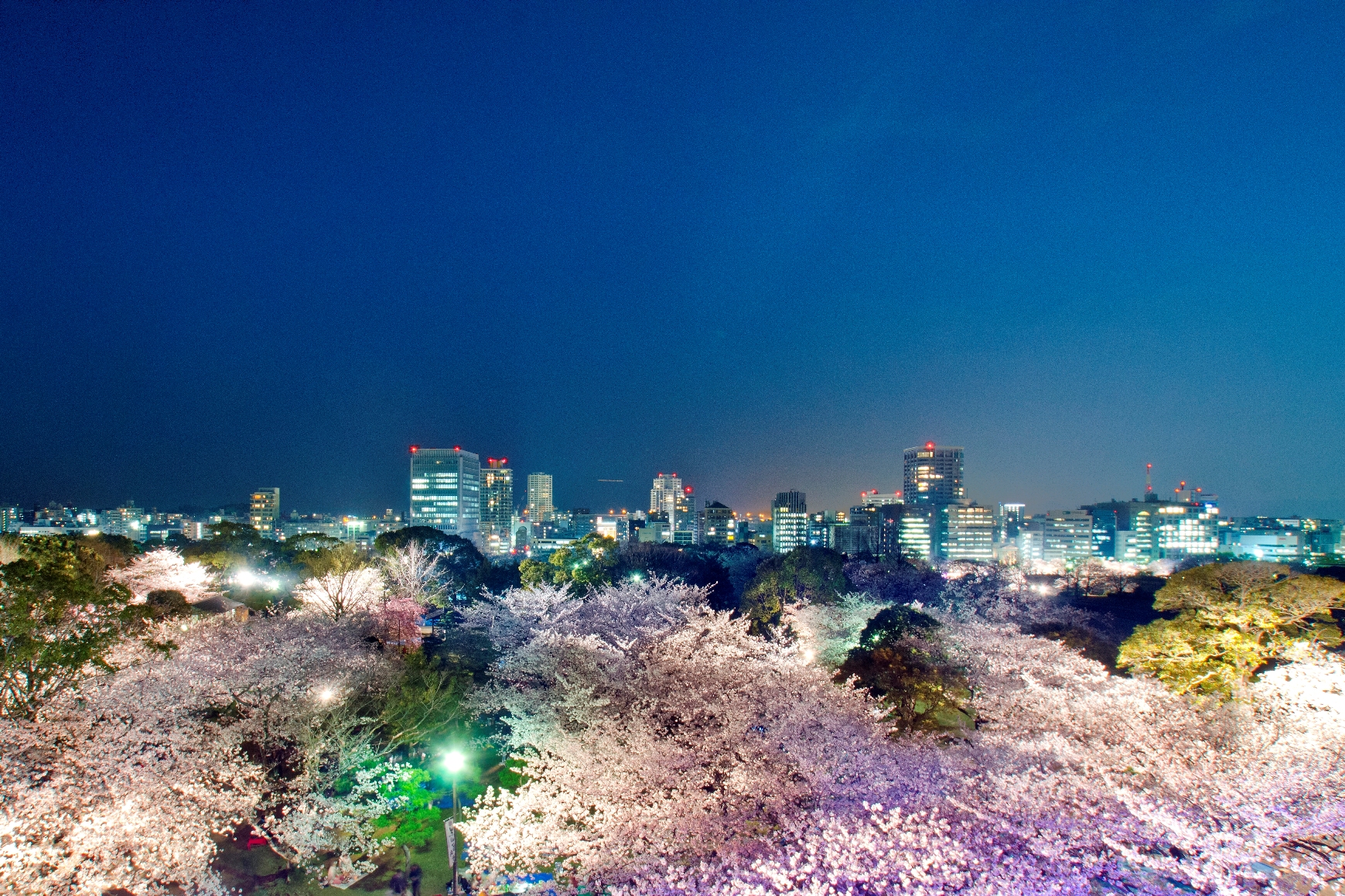 Fukuoka Castle Ruins Attraction Reviews Fukuoka Castle Ruins Tickets Fukuoka Castle Ruins Discounts Fukuoka Castle Ruins Transportation Address Opening Hours Attractions Hotels And Food Near Fukuoka Castle Ruins Trip Com