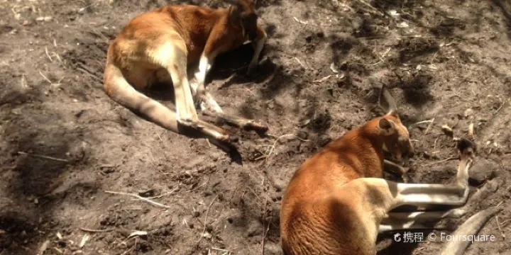 10 Best Things To Do In Shire Of Murray Western Australia Shire Of Murray Travel Guides 21 Trip Com