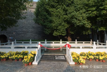 Tai'erzhuang Dazhan Yihai Fajue Ruins (fuyuan)