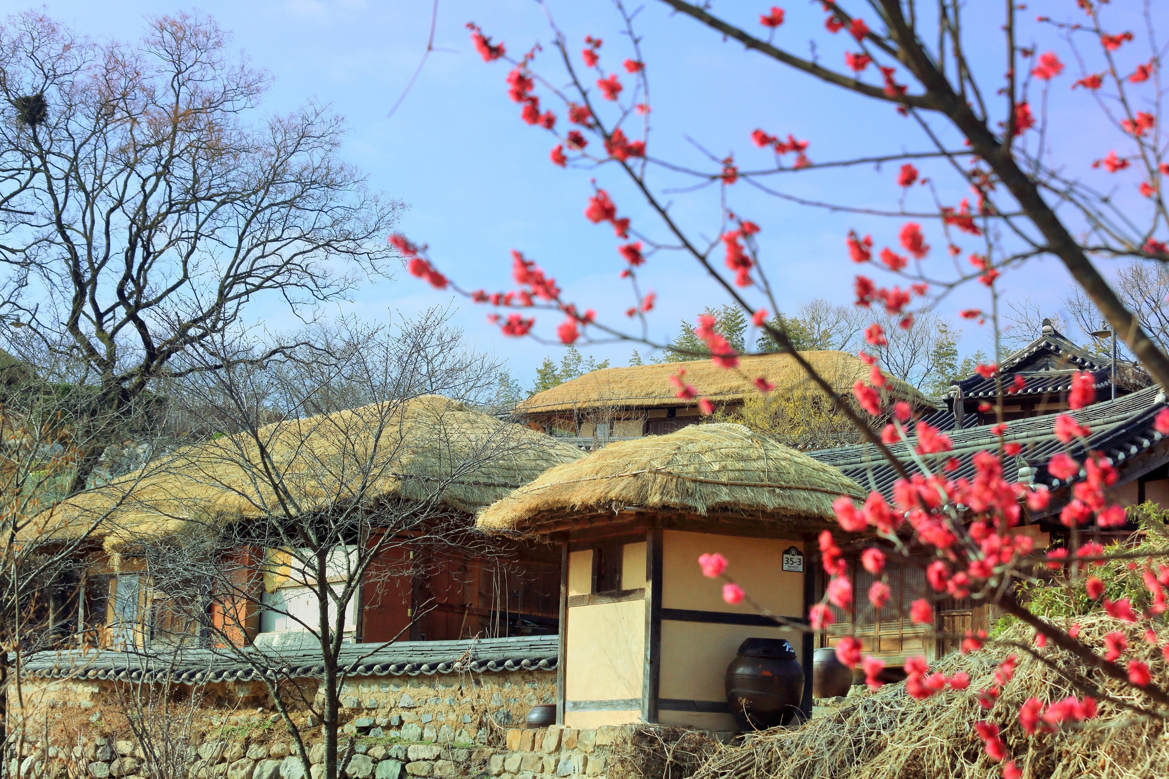慶州景點推介：良洞村