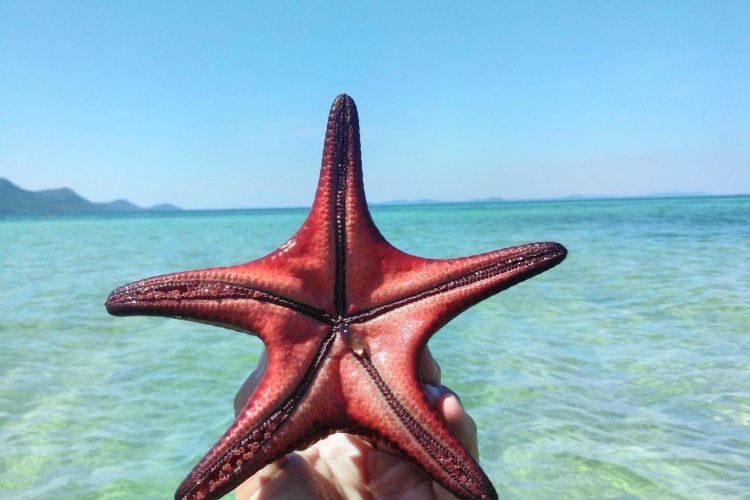 フーコック島 スターフィッシュビーチ 評判 案内 トリップドットコム