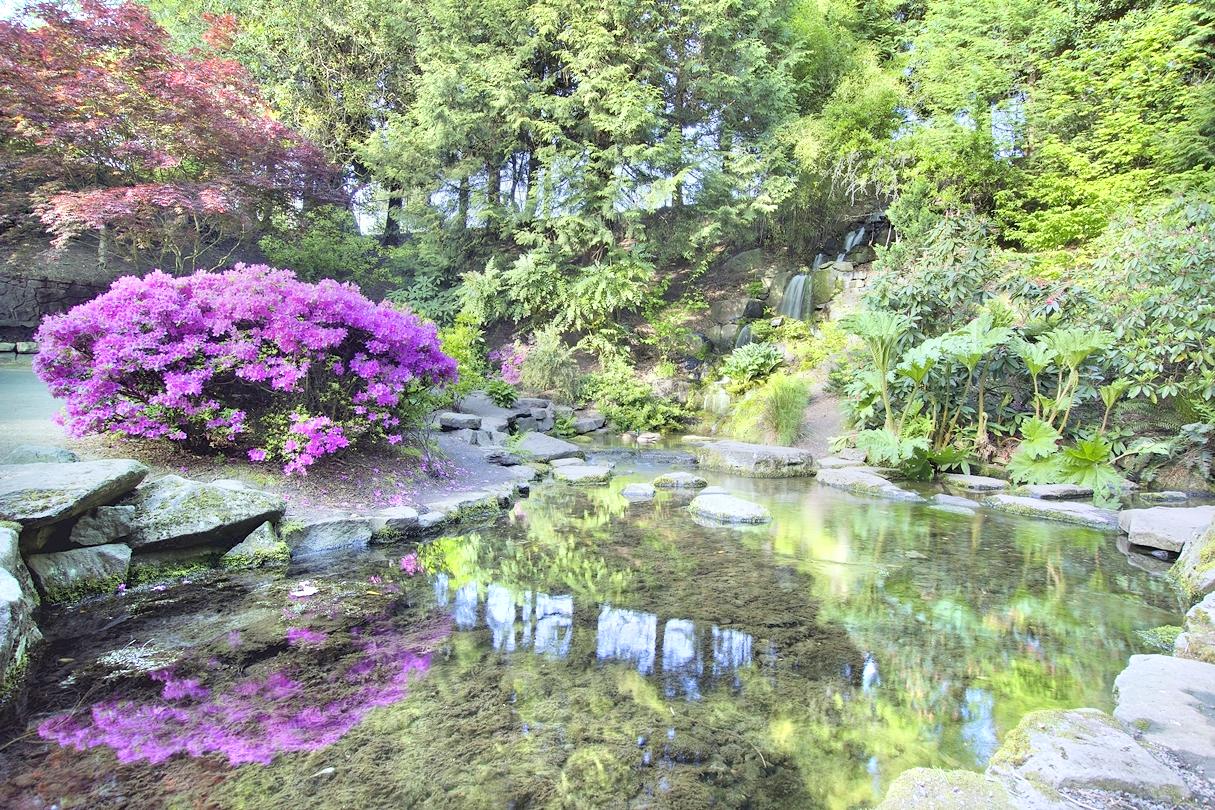 Crystal Springs Rhododendron Garden attraction reviews - Crystal