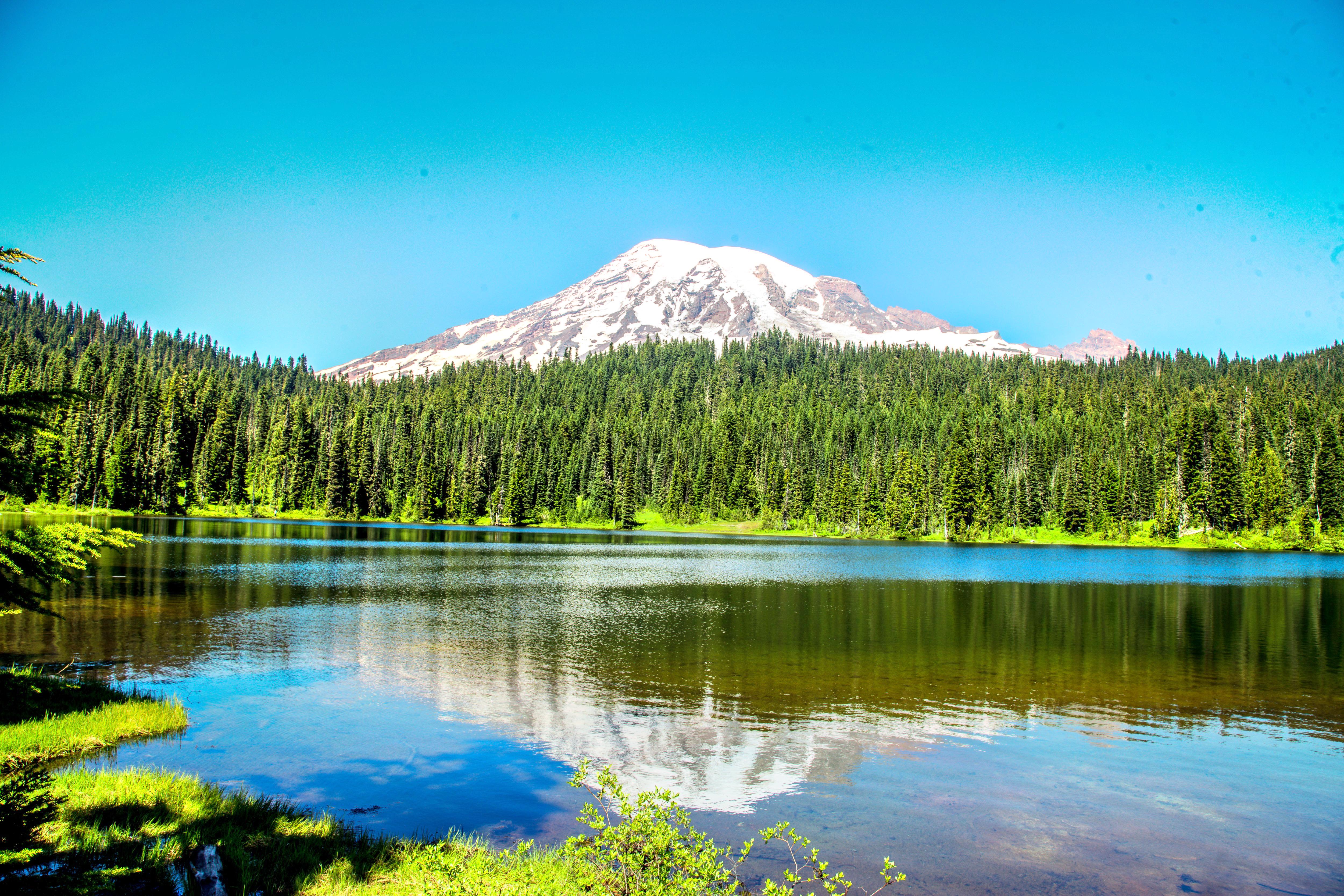 Mount Rainier National Park: Over 230,000 acres of natural beauty