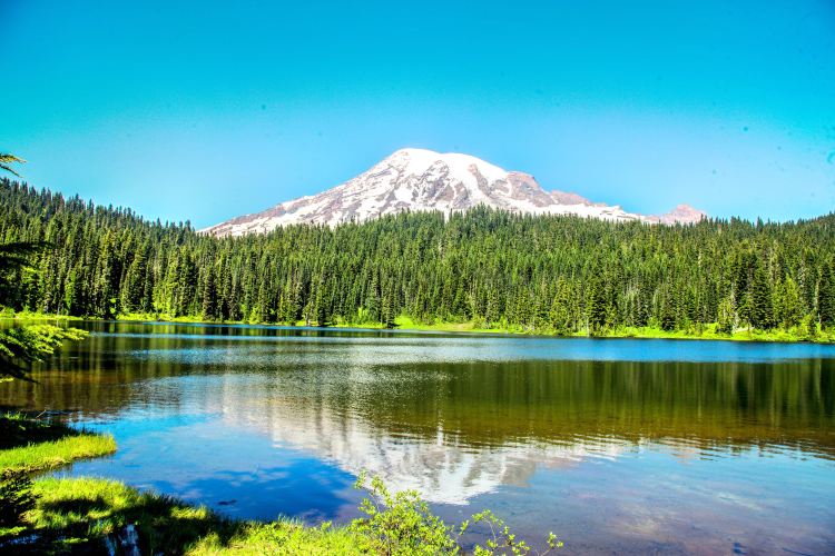 Mount Rainier National Park レーニア山国立公園 評判 案内 トリップドットコム