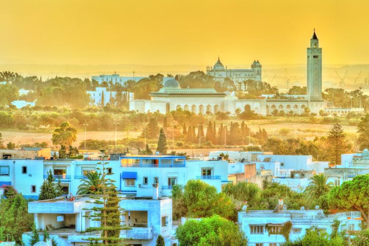 Medina Of Tunis Travel Guidebook Must Visit Attractions In Tunis Medina Of Tunis Nearby Recommendation Trip Com