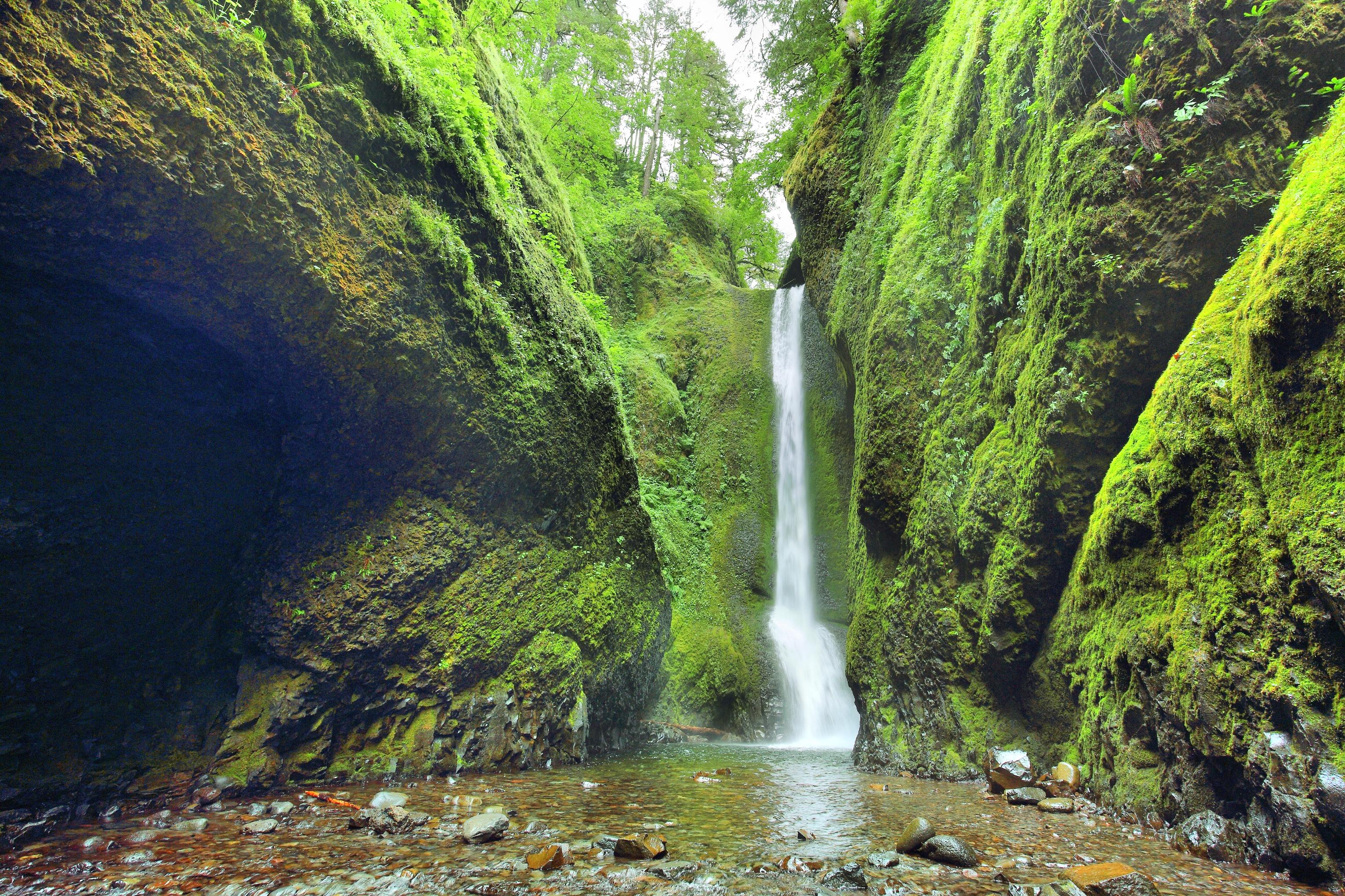 ポートランド Oneonta Gorge 評判 案内 トリップドットコム