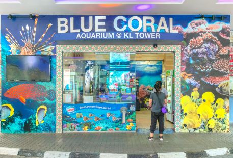 藍珊瑚水族館