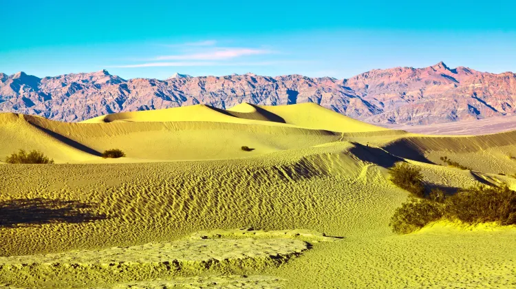モハーベ砂漠のレビュー モハーベ砂漠のチケット モハーベ砂漠の割引 モハーベ砂漠の交通機関 所在地 営業時間 モハーベ砂漠周辺の観光スポット ホテル グルメ Trip Com