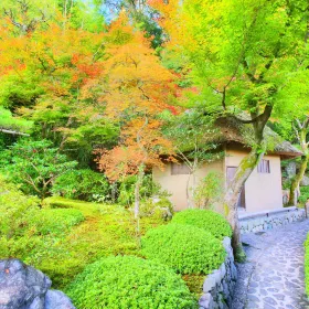 Suzumushi Temple