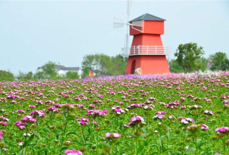 Tongxin Huahai ("Sea of Flowers")