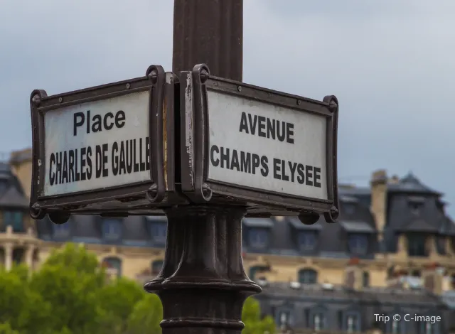Avenue des Champs-Élysées1