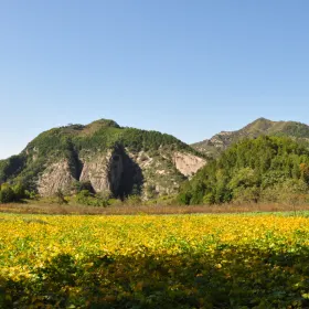 Jiulong Mountain Scenic Area