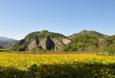 Jiulong Mountain Scenic Area