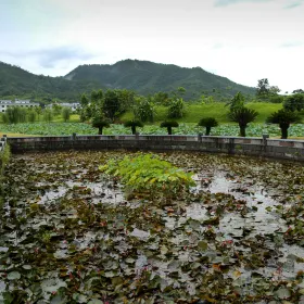 Yeshuai's Former Residence