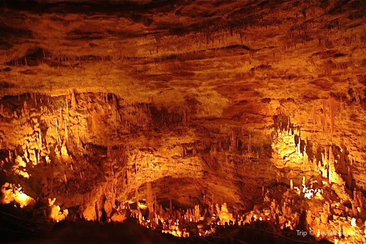 Natural Bridge Caverns Travel Guidebook Must Visit Attractions In Austin Natural Bridge Caverns Nearby Recommendation Trip Com