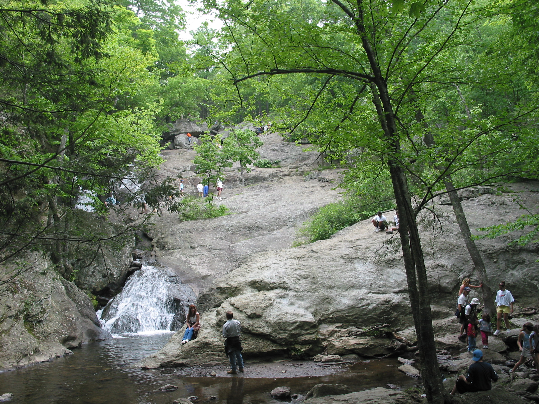 are dogs allowed at cunningham falls