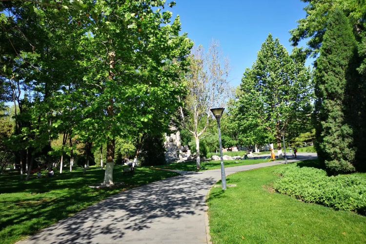 固鎮城西公園旅遊攻略指南 固鎮城西公園評論 固鎮城西公園附近推薦 Trip Com