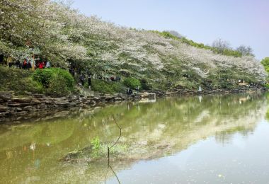 Hunan Forestry Botanical Garden Popular Attractions Photos