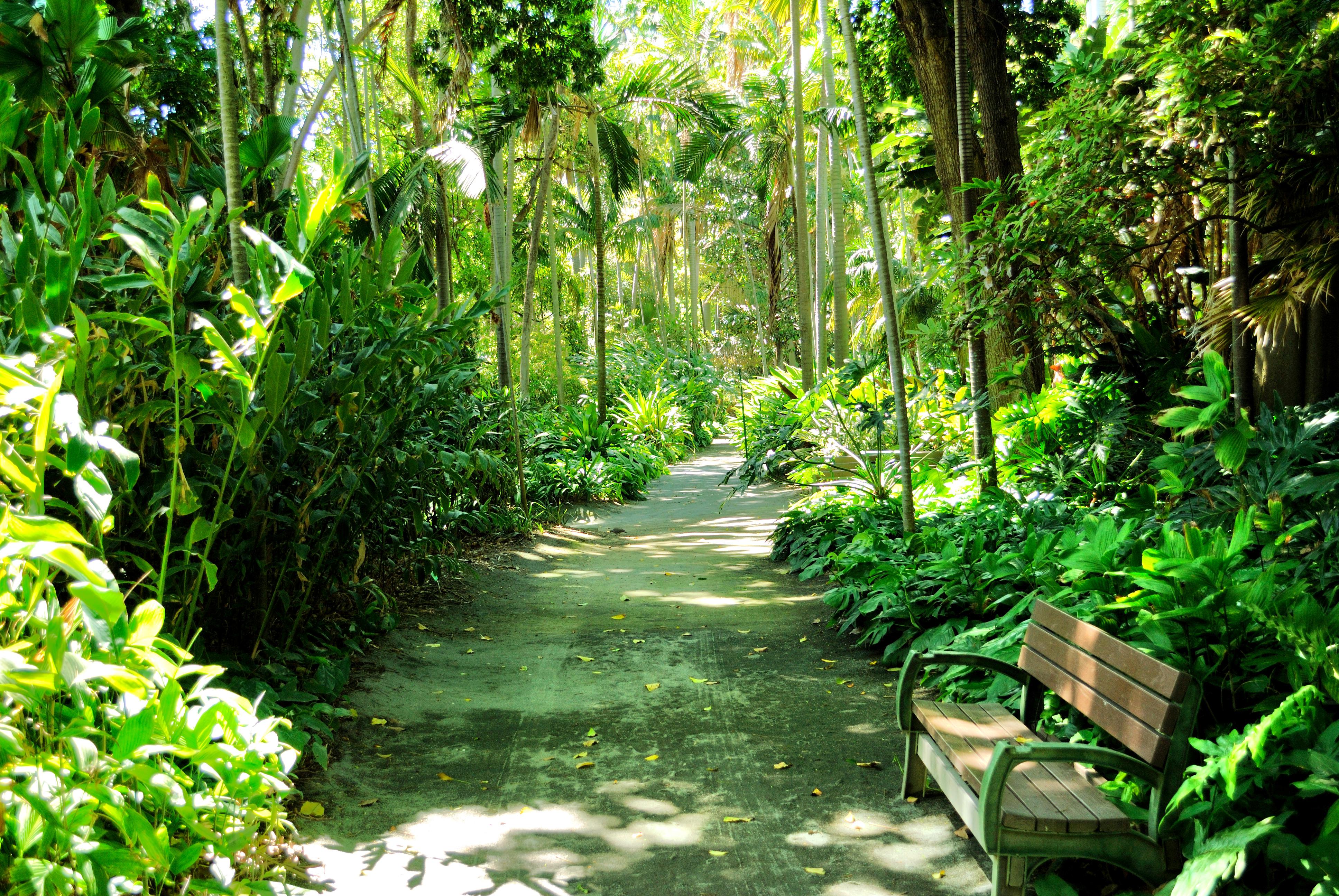 Foster Botanical Garden Travel Guidebook Must Visit Attractions In Honolulu Foster Botanical Garden Nearby Recommendation Tripcom
