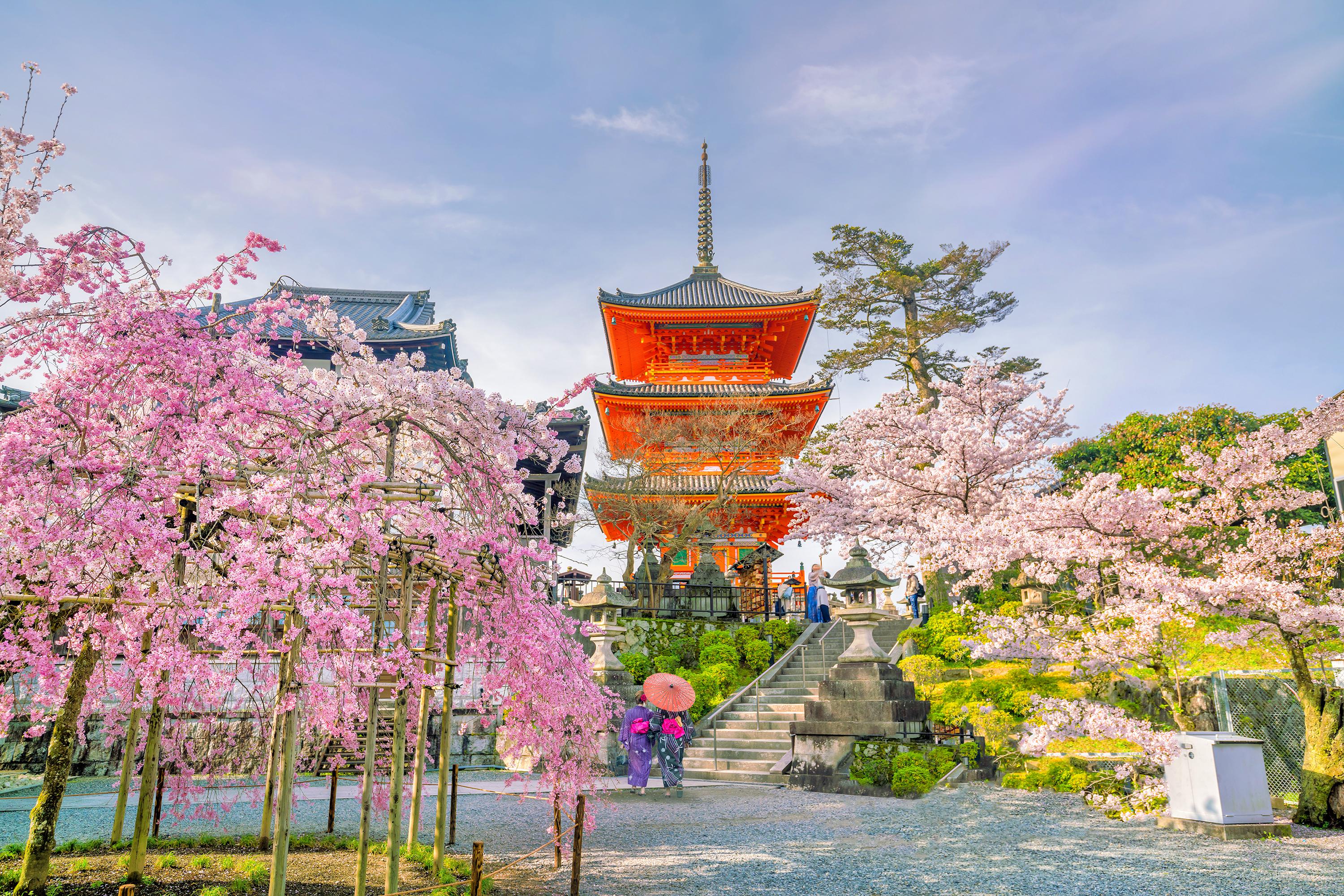 Kiyomizu Dera Temple Attraction Reviews Kiyomizu Dera Temple Tickets Kiyomizu Dera Temple Discounts Kiyomizu Dera Temple Transportation Address Opening Hours Attractions Hotels And Food Near Kiyomizu Dera Temple Trip Com