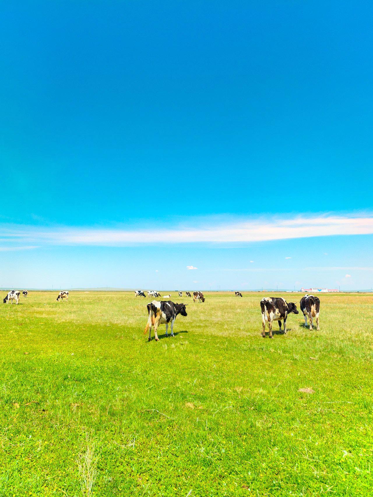 海拉爾旅遊攻略指南 海拉爾評論 海拉爾附近推薦 Trip Com