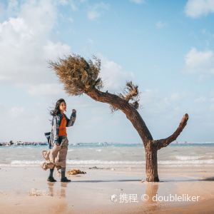 Alexandria,Recommendations