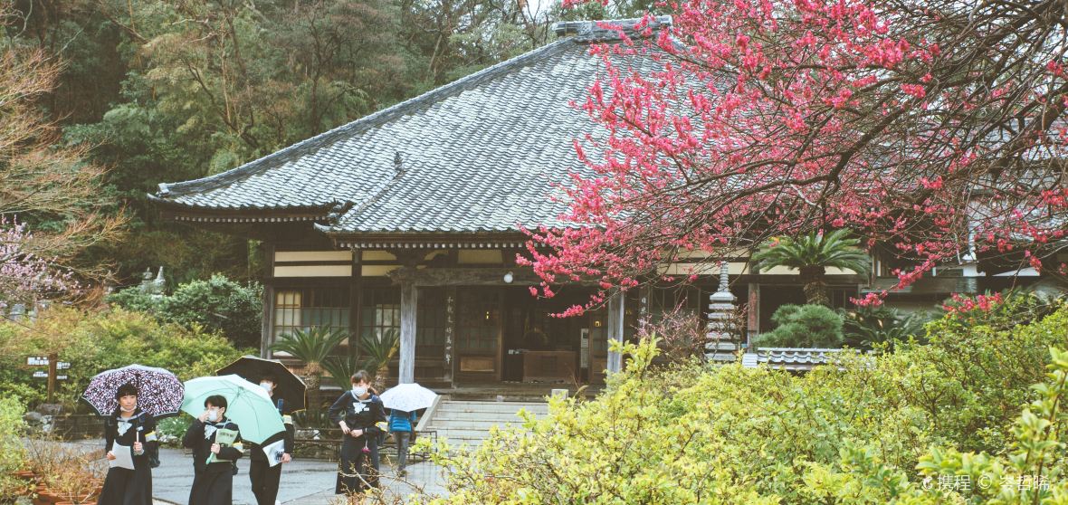 10 Best Things to do in Shimoda, Shizuoka Shimoda travel guides 2021