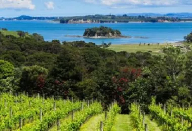 Waiheke Island Explorer Bus รูปภาพAttractionsยอดนิยม