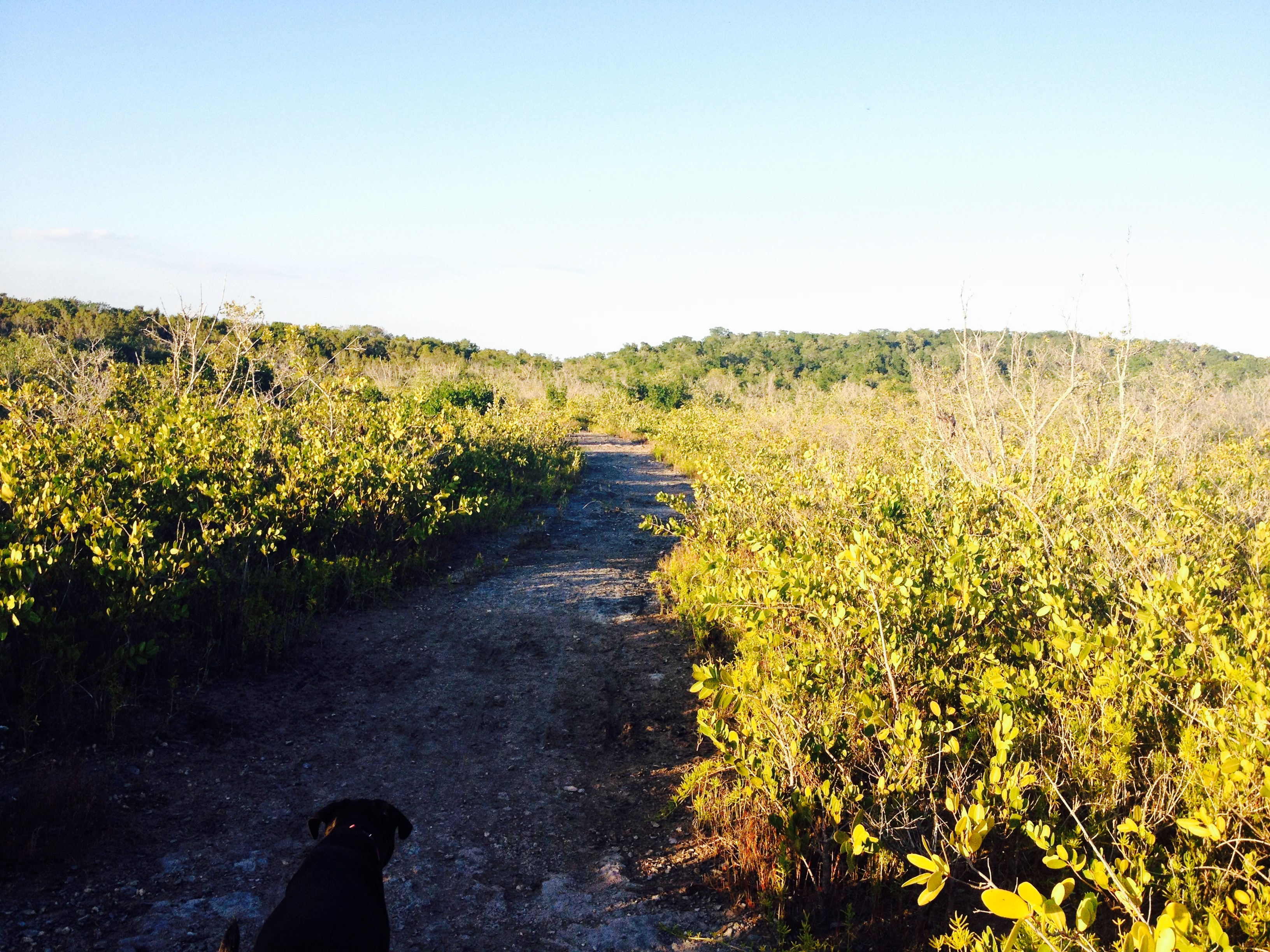 Key Largo Hammocks State Botanical Site Travel Guidebook Must Visit Attractions In Key Largo Key Largo Hammocks State Botanical Site Nearby Recommendation Trip Com