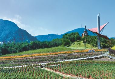東部華僑城茶溪谷 熱門景點照片
