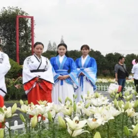 Hongcai Garden
