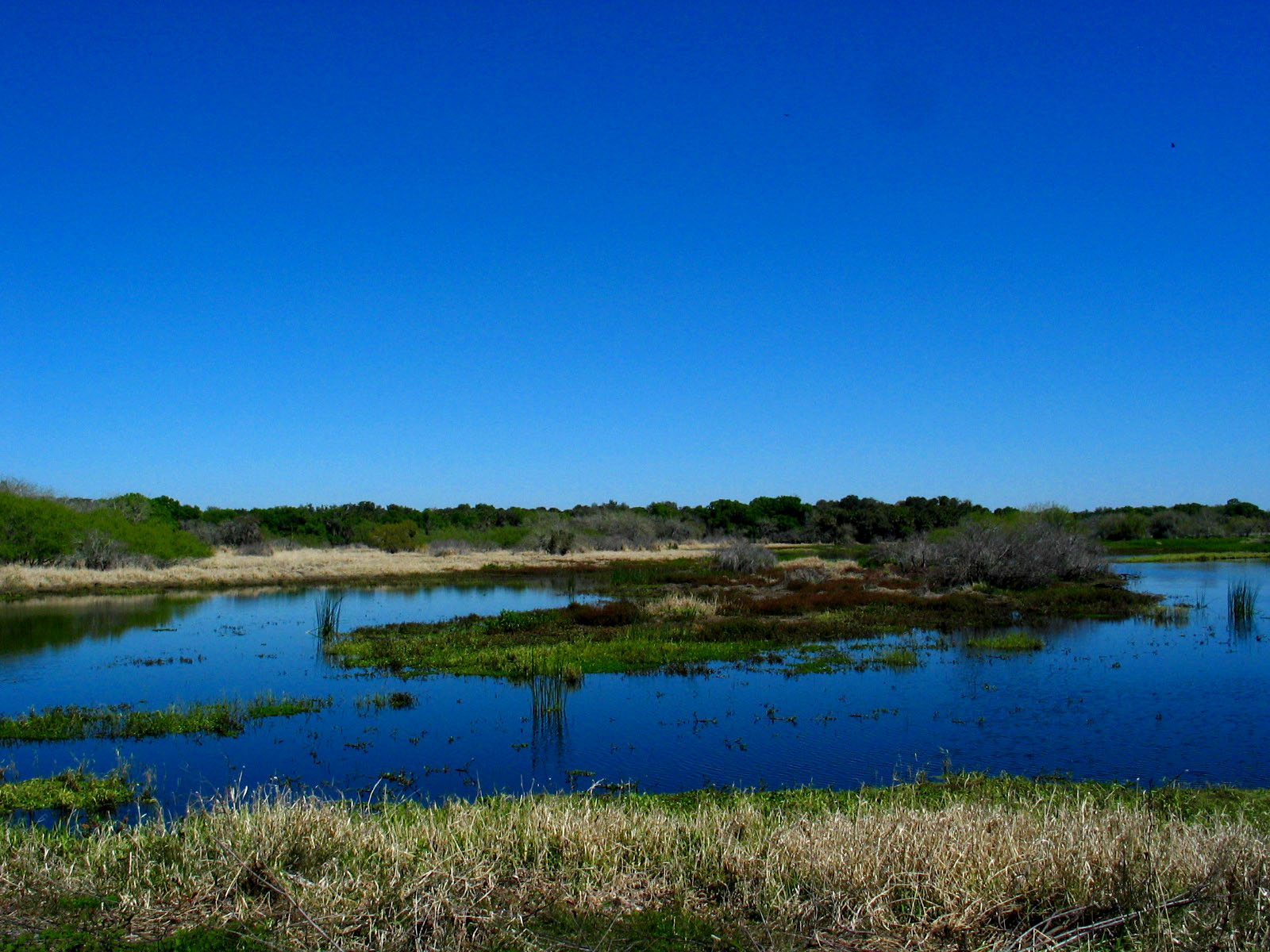 マイオークカ リバー州立公園のレビュー マイオークカ リバー州立公園のチケット マイオークカ リバー州立公園の割引 マイオークカ リバー州立公園の交通機関 所在地 営業時間 マイオークカ リバー州立公園周辺の観光スポット ホテル グルメ Trip Com