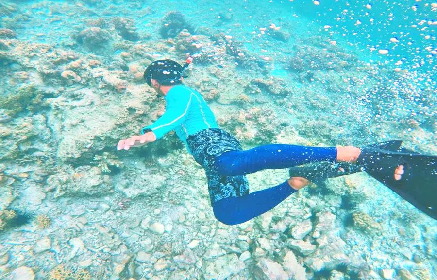 Kapalai Diving