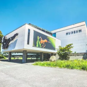 自然歷史博物館